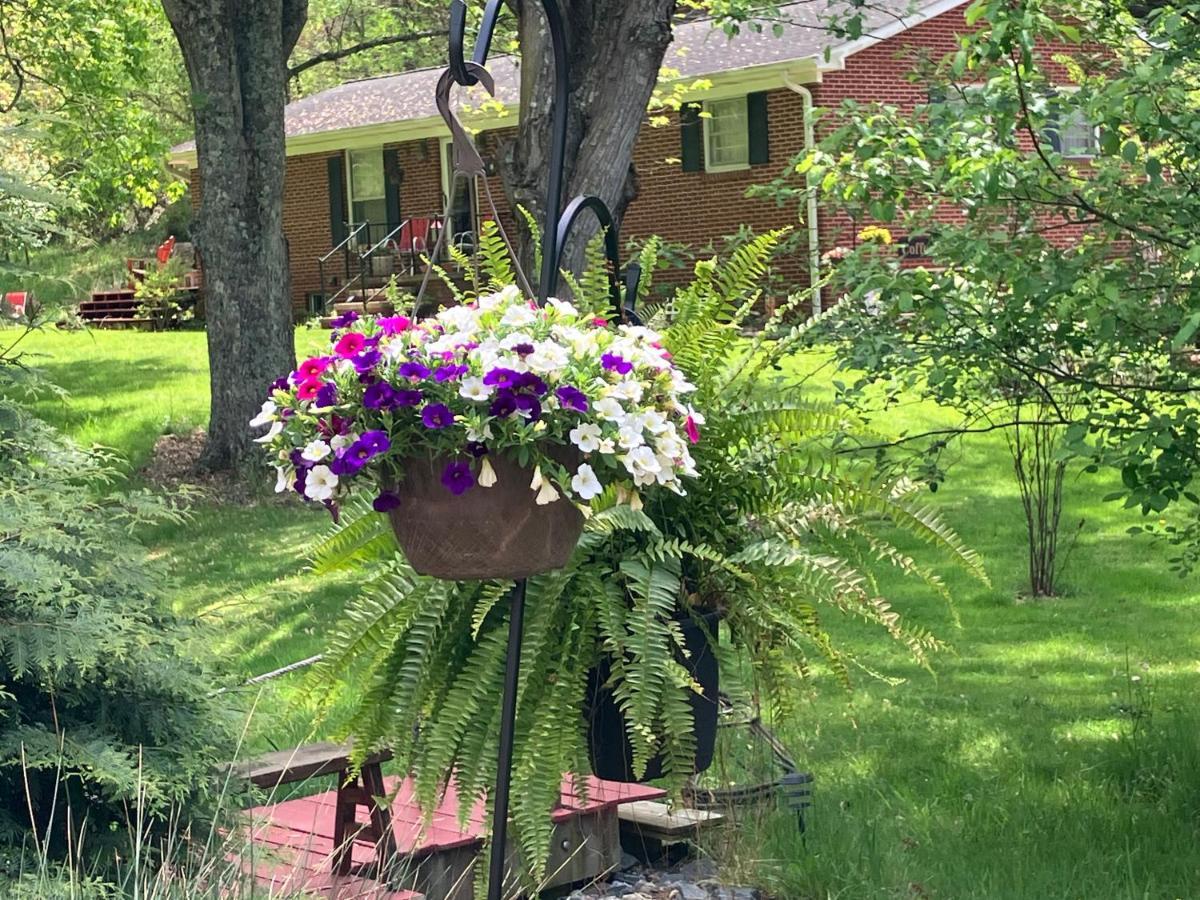 The Ashe Farm Bed & Breakfast Marshall Екстериор снимка