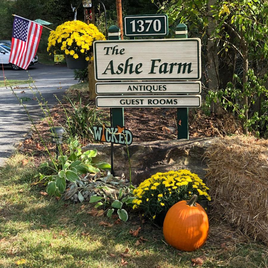 The Ashe Farm Bed & Breakfast Marshall Екстериор снимка